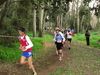 2015_01_25_san_sperate_cross_9704.JPG
