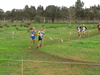 2015_01_25_san_sperate_cross_9747.JPG