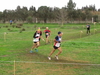 2015_01_25_san_sperate_cross_9748.JPG