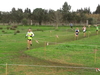 2015_01_25_san_sperate_cross_9752.JPG