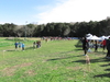 Nome del file=2015_01_25_san_sperate_cross_9897.JPG
Dimensione del file=366KiB
Dimensioni=1280x960
Aggiunta il=25 Gen 2015 2015_01_25_san_sperate_cross_9897.JPG