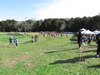 Nome del file=2015_01_25_san_sperate_cross_9898.JPG
Dimensione del file=380KiB
Dimensioni=1280x960
Aggiunta il=25 Gen 2015 2015_01_25_san_sperate_cross_9898.JPG