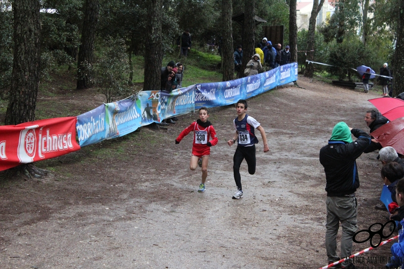 Clicca per vedere l'immagine alla massima grandezza