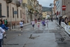 2015_05_16_corrinuoro_francesca_fronteddu_0212.JPG
