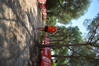 Nome del file=2015_10_04_bidderosa_francesca_fronteddu_2863_rid.JPG
Dimensione del file=510KiB
Dimensioni=1280x853
Aggiunta il=11 Ott 2015 2015_10_04_bidderosa_francesca_fronteddu_2863_rid.JPG