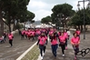 Nome del file=2016_03_13_II_corsa_rosa_as_00125.jpg
Dimensione del file=8095KiB
Dimensioni=4608x3072
Aggiunta il=14 Mar 2016 2016_03_13_II_corsa_rosa_as_00125.jpg