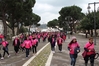 Nome del file=2016_03_13_II_corsa_rosa_as_00146.jpg
Dimensione del file=8296KiB
Dimensioni=4608x3072
Aggiunta il=14 Mar 2016 2016_03_13_II_corsa_rosa_as_00146.jpg