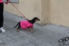 2016_03_13_II_corsa_rosa_as_00354.jpg