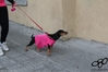 Nome del file=2016_03_13_II_corsa_rosa_as_00355.jpg
Dimensione del file=7432KiB
Dimensioni=4608x3072
Aggiunta il=14 Mar 2016 2016_03_13_II_corsa_rosa_as_00355.jpg