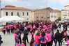 Nome del file=2016_03_13_II_corsa_rosa_as_00640.jpg
Dimensione del file=7076KiB
Dimensioni=4608x3072
Aggiunta il=14 Mar 2016 2016_03_13_II_corsa_rosa_as_00640.jpg