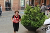 Nome del file=2016_05_14_18_corrinuoro_as_00310.jpg
Dimensione del file=7811KiB
Dimensioni=4608x3072
Aggiunta il=16 Mag 2016 2016_05_14_18_corrinuoro_as_00310.jpg