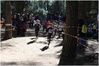 Nome del file=2017_02_19_Cross_Ugolio_as_00125.jpg
Dimensione del file=9176KiB
Dimensioni=4608x3084
Aggiunta il=03 Mar 2017 2017_02_19_Cross_Ugolio_as_00125.jpg