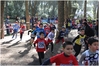 Nome del file=2017_02_19_Cross_Ugolio_as_00138.jpg
Dimensione del file=9886KiB
Dimensioni=4608x3084
Aggiunta il=03 Mar 2017 2017_02_19_Cross_Ugolio_as_00138.jpg