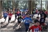Nome del file=2017_02_19_Cross_Ugolio_as_00139.jpg
Dimensione del file=9794KiB
Dimensioni=4608x3084
Aggiunta il=03 Mar 2017 2017_02_19_Cross_Ugolio_as_00139.jpg