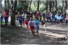 Nome del file=2017_02_19_Cross_Ugolio_as_00311.jpg
Dimensione del file=10547KiB
Dimensioni=4608x3084
Aggiunta il=03 Mar 2017 2017_02_19_Cross_Ugolio_as_00311.jpg