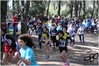 Nome del file=2017_02_19_Cross_Ugolio_as_00315.jpg
Dimensione del file=10054KiB
Dimensioni=4608x3084
Aggiunta il=03 Mar 2017 2017_02_19_Cross_Ugolio_as_00315.jpg