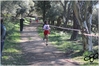Nome del file=2017_02_19_Cross_Ugolio_as_00322.jpg
Dimensione del file=10537KiB
Dimensioni=4608x3084
Aggiunta il=03 Mar 2017 2017_02_19_Cross_Ugolio_as_00322.jpg