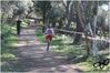 Nome del file=2017_02_19_Cross_Ugolio_as_00323.jpg
Dimensione del file=10770KiB
Dimensioni=4608x3084
Aggiunta il=03 Mar 2017 2017_02_19_Cross_Ugolio_as_00323.jpg