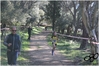 Nome del file=2017_02_19_Cross_Ugolio_as_00331.jpg
Dimensione del file=10140KiB
Dimensioni=4608x3084
Aggiunta il=03 Mar 2017 2017_02_19_Cross_Ugolio_as_00331.jpg