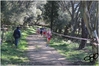 Nome del file=2017_02_19_Cross_Ugolio_as_00365.jpg
Dimensione del file=10951KiB
Dimensioni=4608x3084
Aggiunta il=03 Mar 2017 2017_02_19_Cross_Ugolio_as_00365.jpg