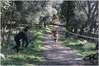 2017_02_19_Cross_Ugolio_as_00377.jpg