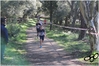 Nome del file=2017_02_19_Cross_Ugolio_as_00380.jpg
Dimensione del file=10497KiB
Dimensioni=4608x3084
Aggiunta il=03 Mar 2017 2017_02_19_Cross_Ugolio_as_00380.jpg