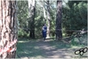 Nome del file=2017_02_19_Cross_Ugolio_as_00433.jpg
Dimensione del file=10624KiB
Dimensioni=4608x3084
Aggiunta il=03 Mar 2017 2017_02_19_Cross_Ugolio_as_00433.jpg