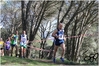 Nome del file=2017_02_19_Cross_Ugolio_as_00725.jpg
Dimensione del file=11746KiB
Dimensioni=4608x3084
Aggiunta il=03 Mar 2017 2017_02_19_Cross_Ugolio_as_00725.jpg