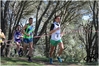 2017_02_19_Cross_Ugolio_as_00726.jpg