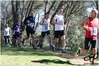 Nome del file=2017_02_19_Cross_Ugolio_as_00774.jpg
Dimensione del file=10847KiB
Dimensioni=4608x3084
Aggiunta il=03 Mar 2017 2017_02_19_Cross_Ugolio_as_00774.jpg