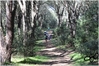 Nome del file=2017_02_19_Cross_Ugolio_as_01018.jpg
Dimensione del file=11628KiB
Dimensioni=4608x3084
Aggiunta il=03 Mar 2017 2017_02_19_Cross_Ugolio_as_01018.jpg