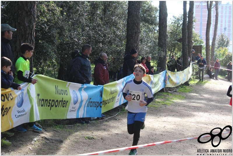 Clicca per vedere l'immagine alla massima grandezza