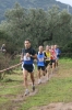 Nome del file=Gonnosfanadiga168.jpg
Dimensione del file=111KiB
Dimensioni=600x900
Aggiunta il=12 Feb 2009 Gonnosfanadiga168.jpg