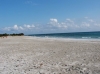 DSCF5409.JPG