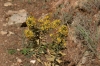 DiGsp07_03440.jpg