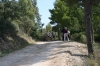 Nome del file=biderosa_2008_130.jpg
Dimensione del file=77KiB
Dimensioni=600x400
Aggiunta il=31 Ott 2008 biderosa_2008_130.jpg