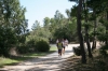 Nome del file=biderosa_2008_172.jpg
Dimensione del file=76KiB
Dimensioni=600x400
Aggiunta il=31 Ott 2008 biderosa_2008_172.jpg