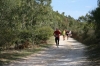 Nome del file=biderosa_2008_217.jpg
Dimensione del file=78KiB
Dimensioni=600x400
Aggiunta il=31 Ott 2008 biderosa_2008_217.jpg