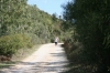Nome del file=biderosa_2008_246.jpg
Dimensione del file=71KiB
Dimensioni=600x400
Aggiunta il=31 Ott 2008 biderosa_2008_246.jpg