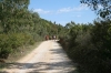 Nome del file=biderosa_2008_301.jpg
Dimensione del file=69KiB
Dimensioni=600x400
Aggiunta il=31 Ott 2008 biderosa_2008_301.jpg