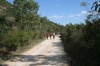Nome del file=biderosa_2008_318.jpg
Dimensione del file=66KiB
Dimensioni=600x400
Aggiunta il=31 Ott 2008 biderosa_2008_318.jpg
