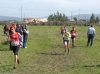 Nome del file=DSCF7591.JPG
Dimensione del file=75KiB
Dimensioni=600x449
Aggiunta il=01 Mar 2010 DSCF7591.JPG