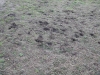 campo_scuola_2005_03_22_097.jpg