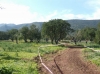 DSCF7377.JPG