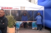 DiGsp10_01245.jpg