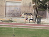 IMG_2592.JPG