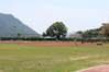 Nome del file=IMG_2198.JPG
Dimensione del file=10583KiB
Dimensioni=4608x3072
Aggiunta il=10 Giu 2012 IMG_2198.JPG