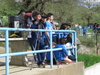 Nome del file=2013_04_20_fidal_grand_prix_giovanile_orani_mz_1031.JPG
Dimensione del file=2515KiB
Dimensioni=3264x2448
Aggiunta il=21 Apr 2013 2013_04_20_fidal_grand_prix_giovanile_orani_mz_1031.JPG