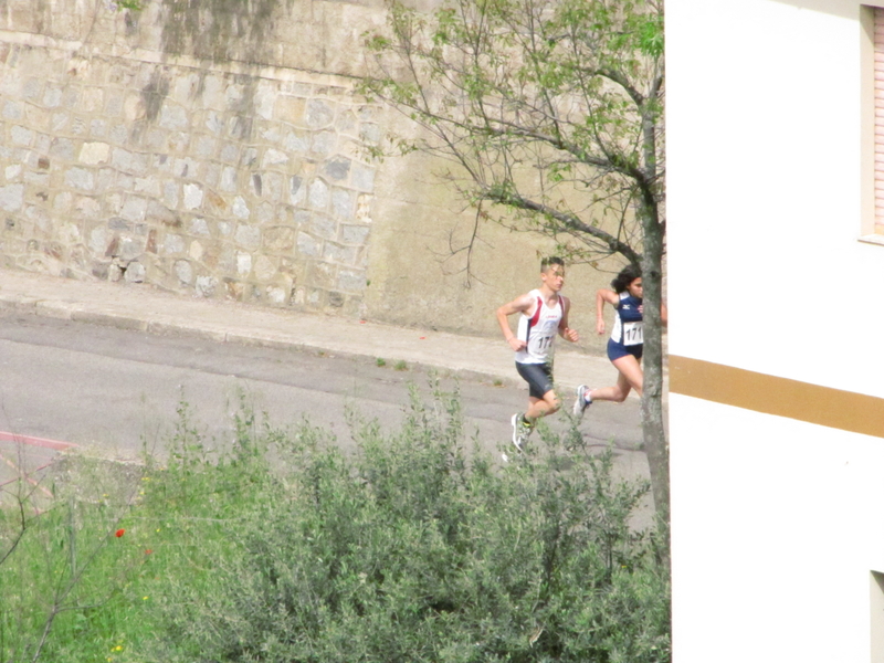Clicca per vedere l'immagine alla massima grandezza
