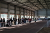Nome del file=2014_01_26_Iglesias_Indoor_3279.JPG
Dimensione del file=9796KiB
Dimensioni=4608x3072
Aggiunta il=27 Gen 2014 2014_01_26_Iglesias_Indoor_3279.JPG